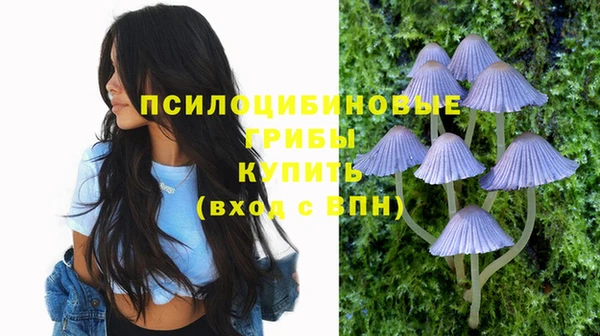 не бодяженный Абдулино