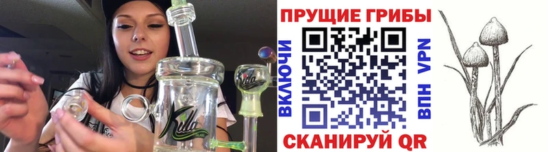 Псилоцибиновые грибы Psilocybe  где можно купить   Железноводск 