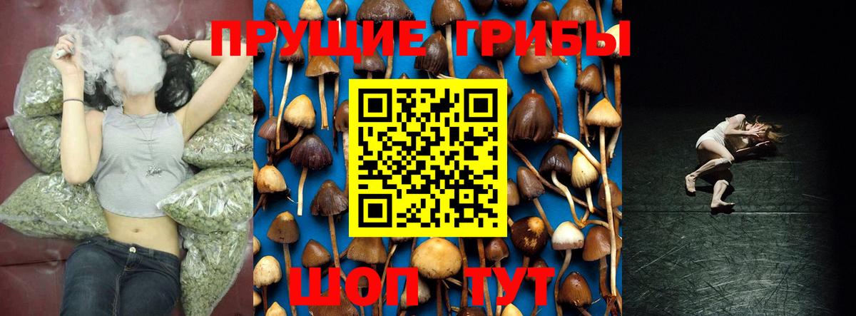 Псилоцибиновые грибы прущие грибы  Вход с VPN  Железноводск 
